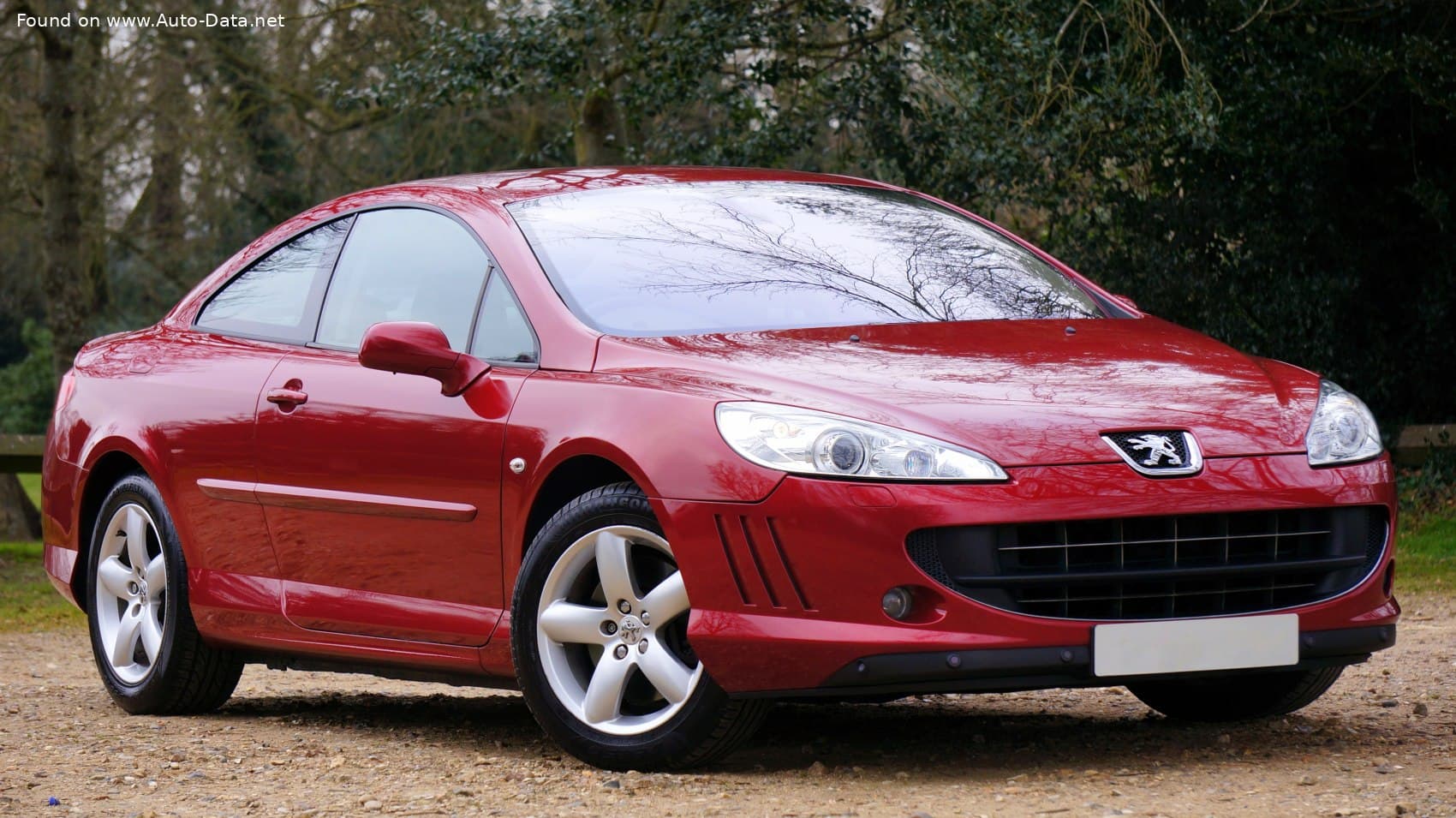 2005 Peugeot 407 2.0