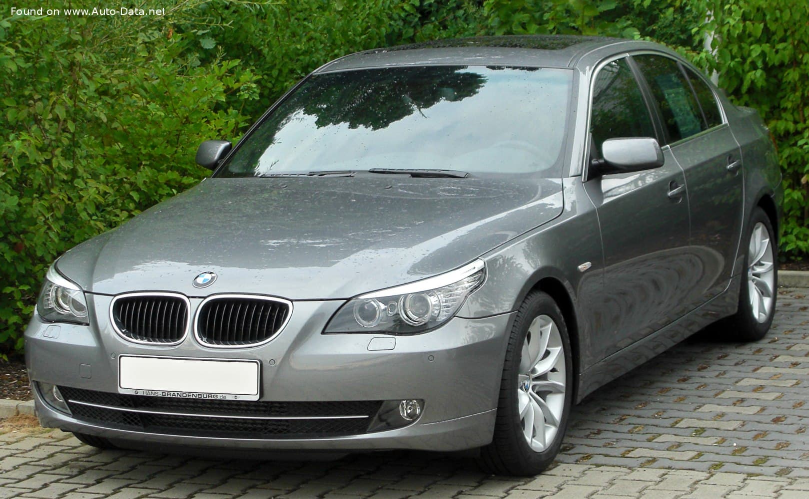 2008 BMW 5 Serisi 520d
